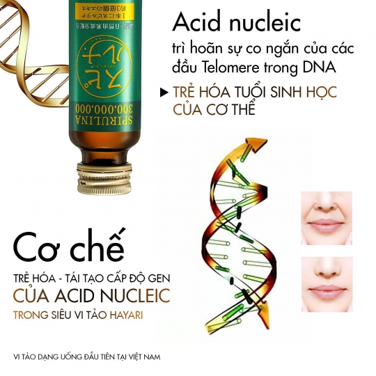 Siêu Vi Tảo Uống Spirulina - Hayari 